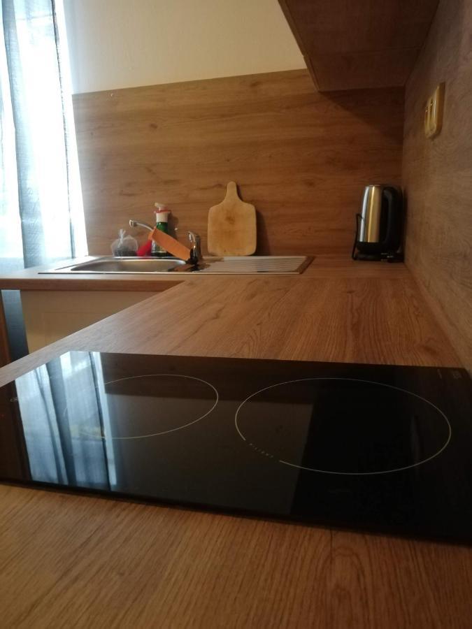 Penzion Pod Svahem Železná Ruda Exteriör bild